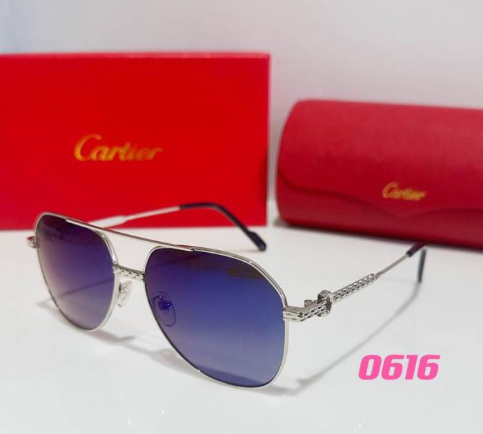 CTR Sunglasses AAA-377