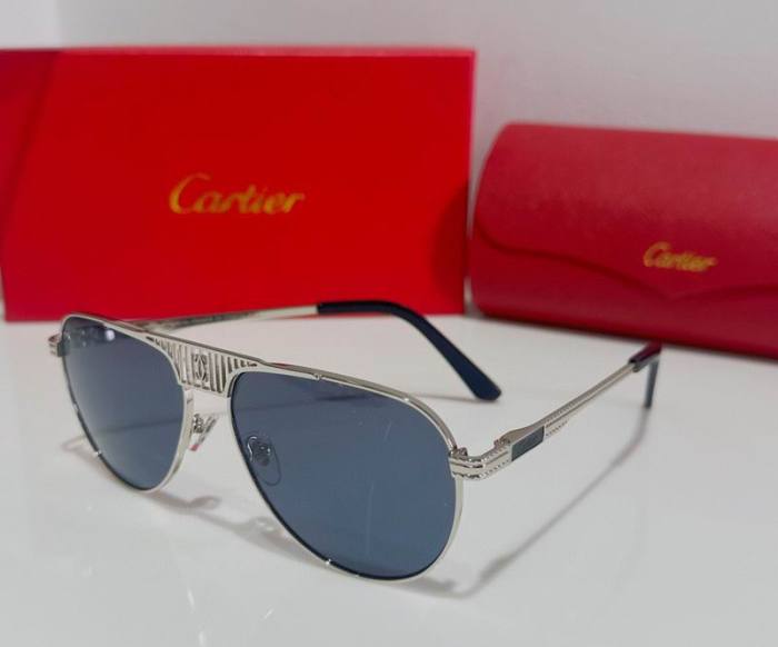 CTR Sunglasses AAA-368