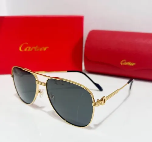 CTR Sunglasses AAA-367