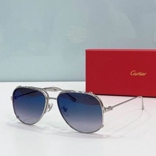 CTR Sunglasses AAA-395
