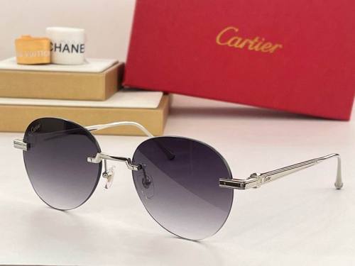 CTR Sunglasses AAA-442