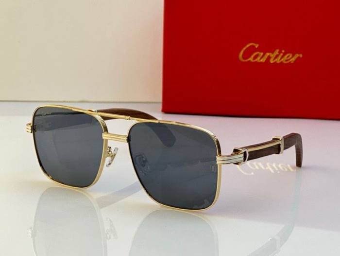 CTR Sunglasses AAA-424