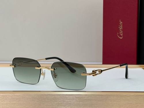 CTR Sunglasses AAA-393