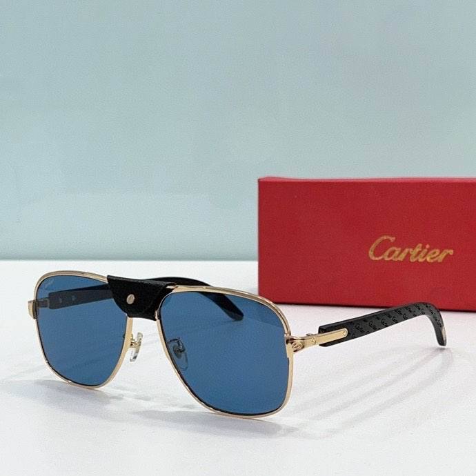 CTR Sunglasses AAA-478