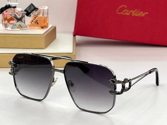 CTR Sunglasses AAA-440