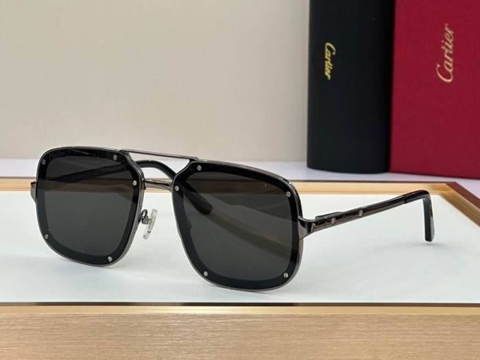 CTR Sunglasses AAA-394