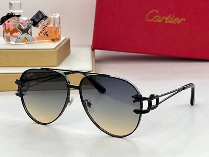 CTR Sunglasses AAA-439
