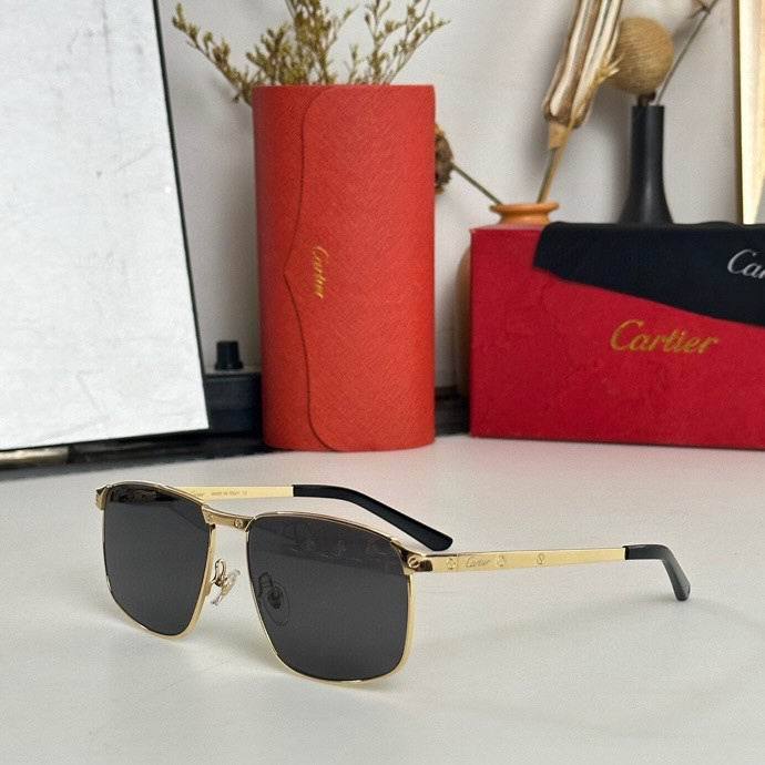 CTR Sunglasses AAA-451