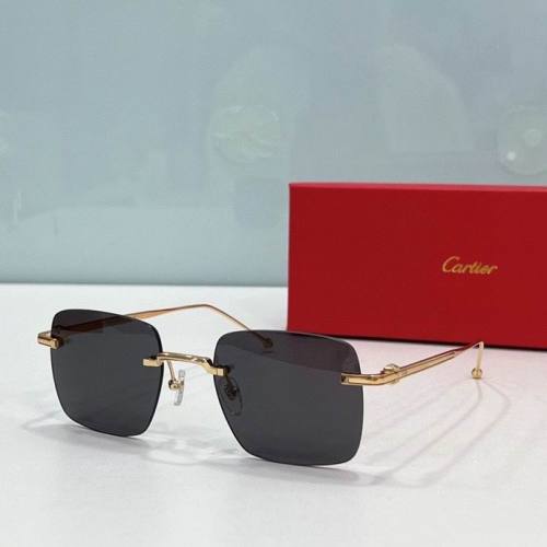 CTR Sunglasses AAA-413