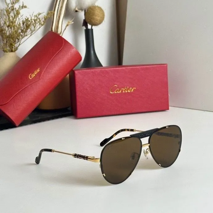 CTR Sunglasses AAA-448