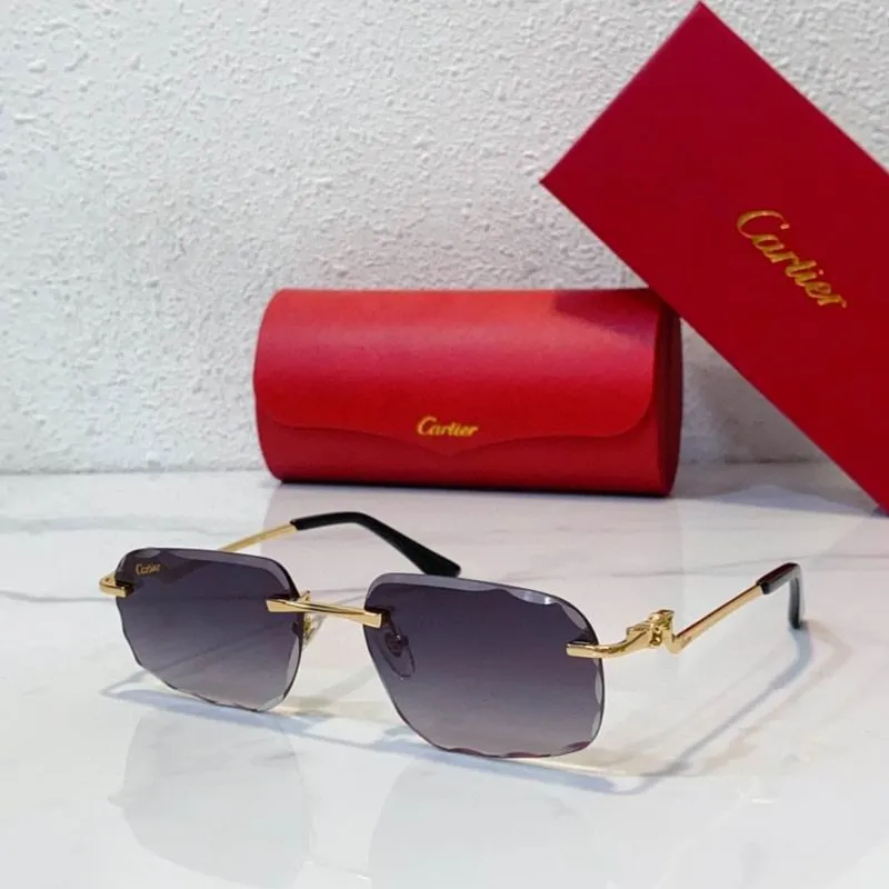 CTR Sunglasses AAA-473