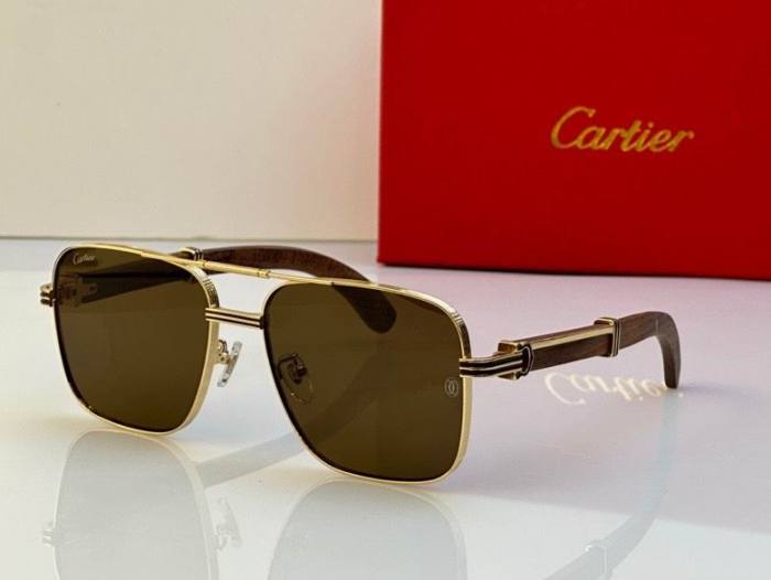 CTR Sunglasses AAA-424