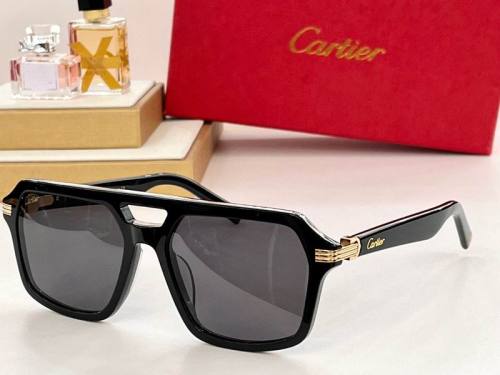CTR Sunglasses AAA-436