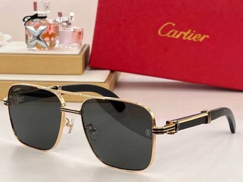 CTR Sunglasses AAA-412