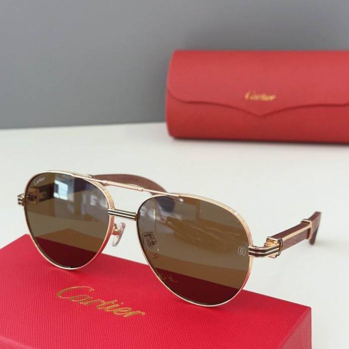 CTR Sunglasses AAA-480