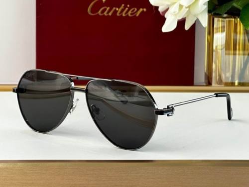 CTR Sunglasses AAA-392