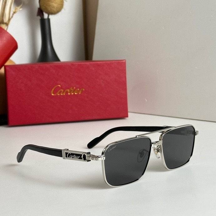 CTR Sunglasses AAA-447