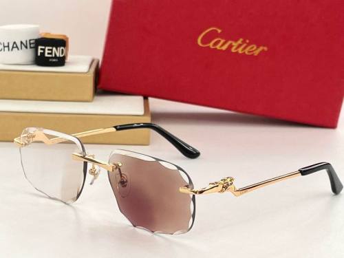 CTR Sunglasses AAA-431