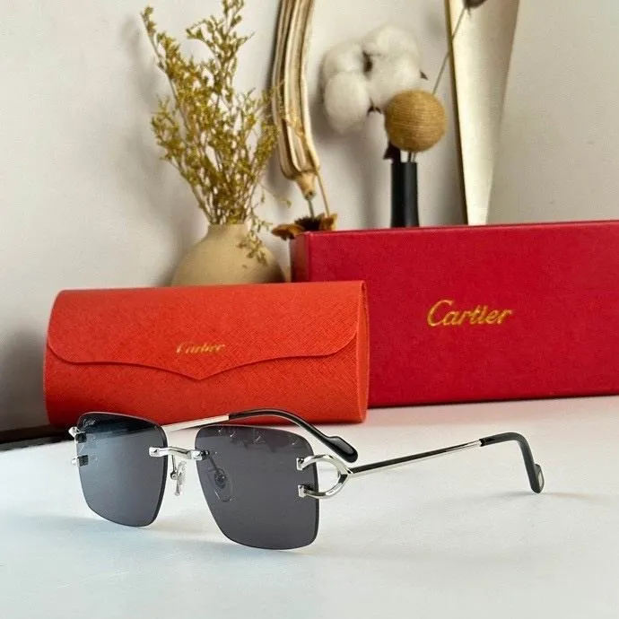 CTR Sunglasses AAA-466