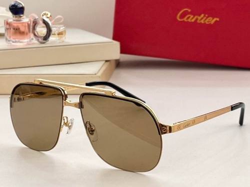 CTR Sunglasses AAA-433