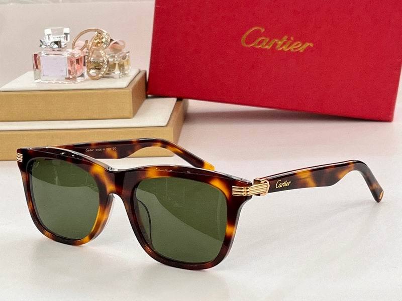 CTR Sunglasses AAA-435