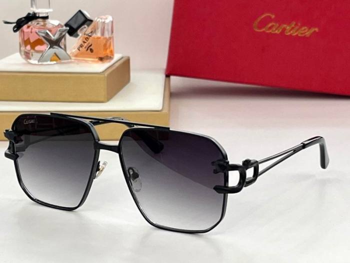 CTR Sunglasses AAA-440