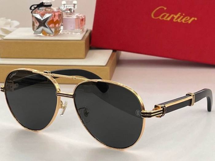 CTR Sunglasses AAA-411