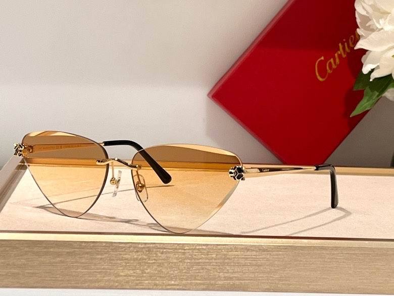 CTR Sunglasses AAA-390