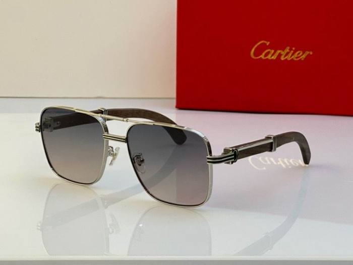 CTR Sunglasses AAA-424