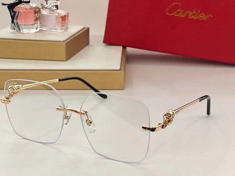 CTR Sunglasses AAA-429
