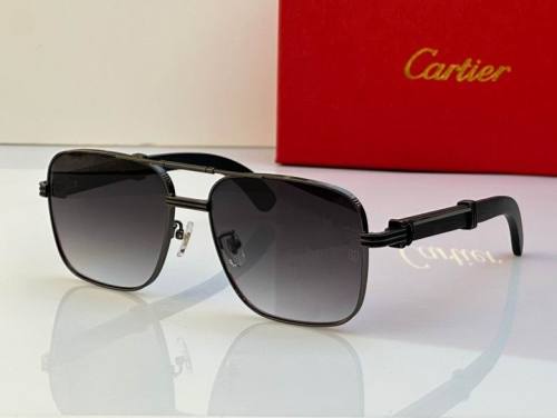 CTR Sunglasses AAA-424