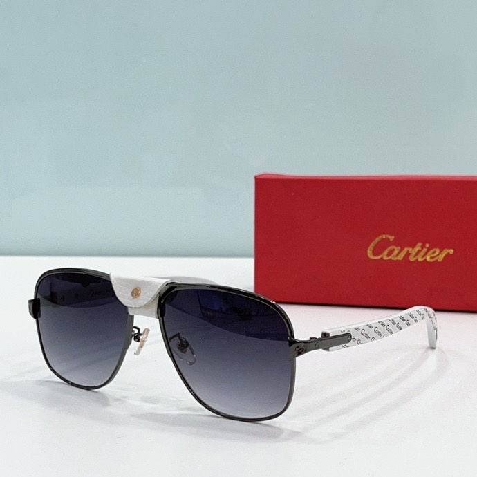 CTR Sunglasses AAA-478