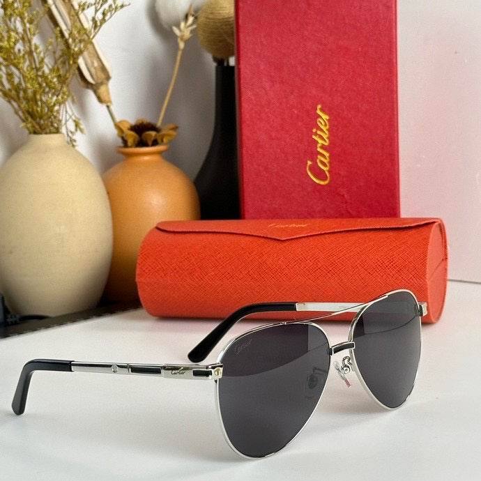 CTR Sunglasses AAA-462