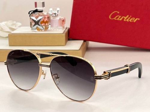 CTR Sunglasses AAA-411