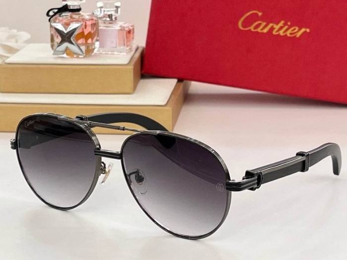 CTR Sunglasses AAA-411