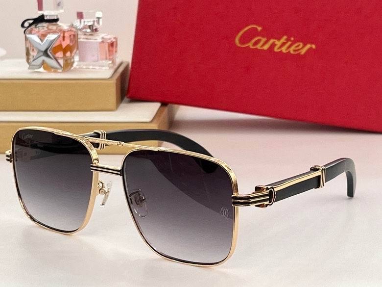CTR Sunglasses AAA-412