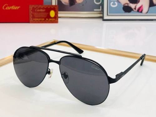 CTR Sunglasses AAA-396