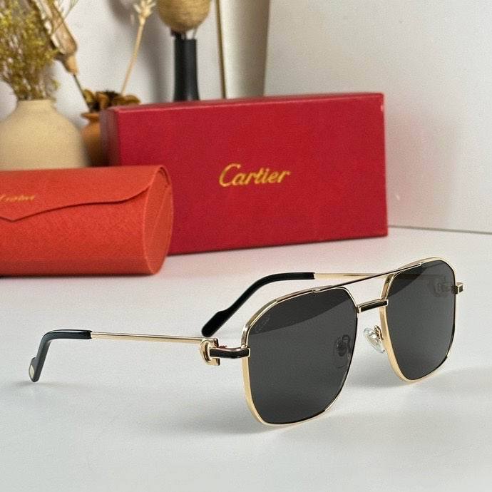 CTR Sunglasses AAA-387