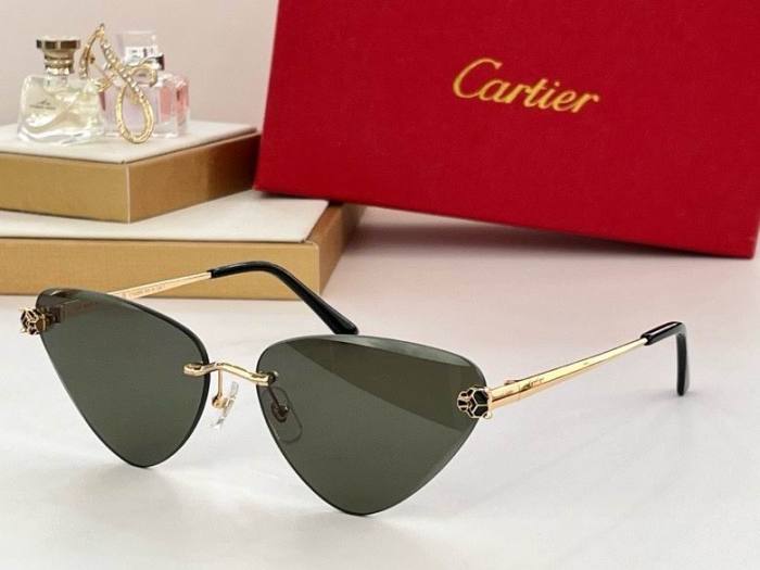 CTR Sunglasses AAA-488