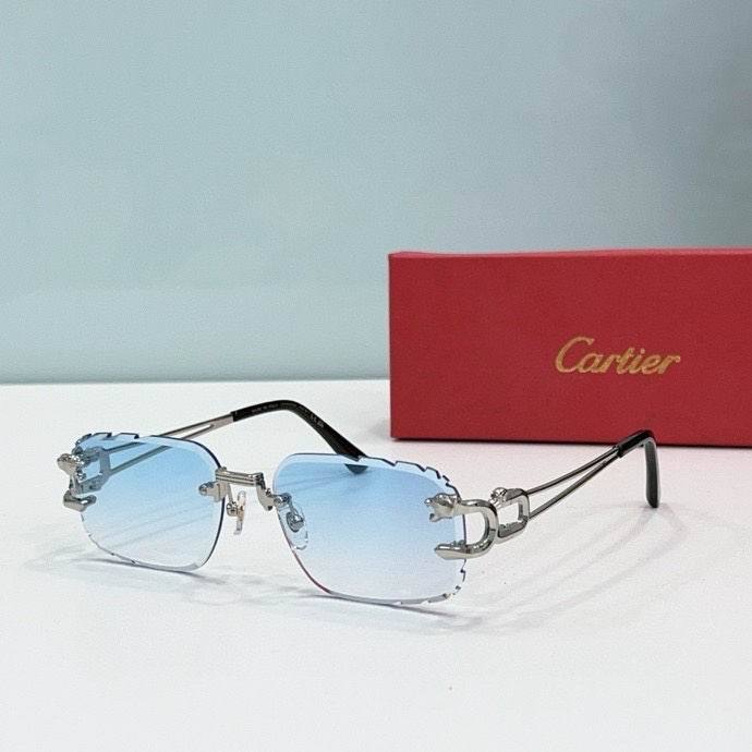 CTR Sunglasses AAA-496