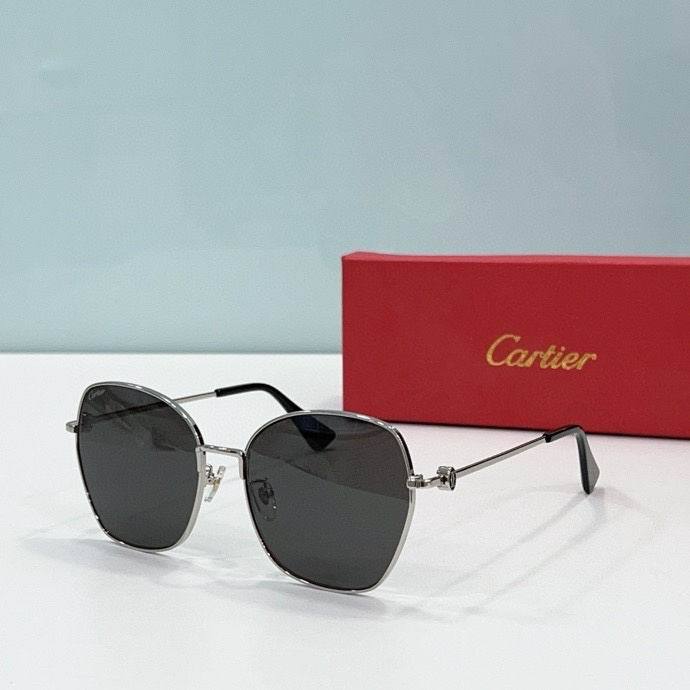 CTR Sunglasses AAA-495
