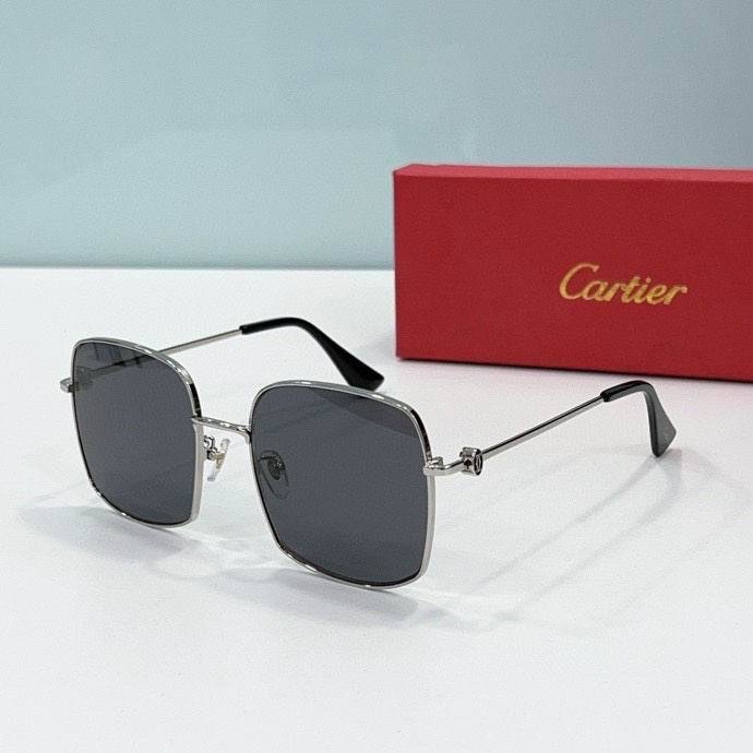 CTR Sunglasses AAA-494