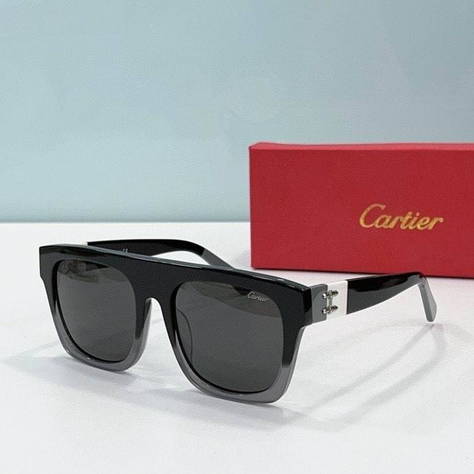 CTR Sunglasses AAA-493