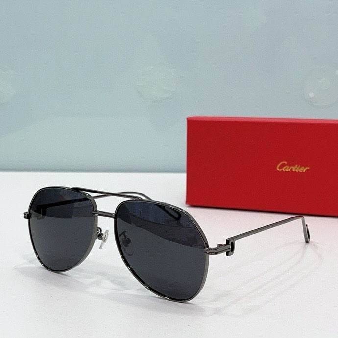 CTR Sunglasses AAA-486