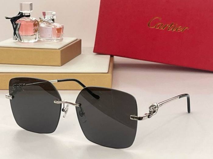CTR Sunglasses AAA-490