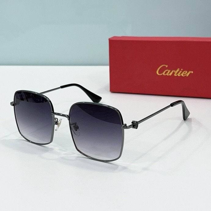 CTR Sunglasses AAA-494