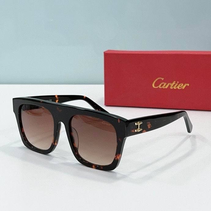 CTR Sunglasses AAA-493