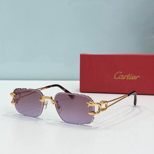 CTR Sunglasses AAA-496