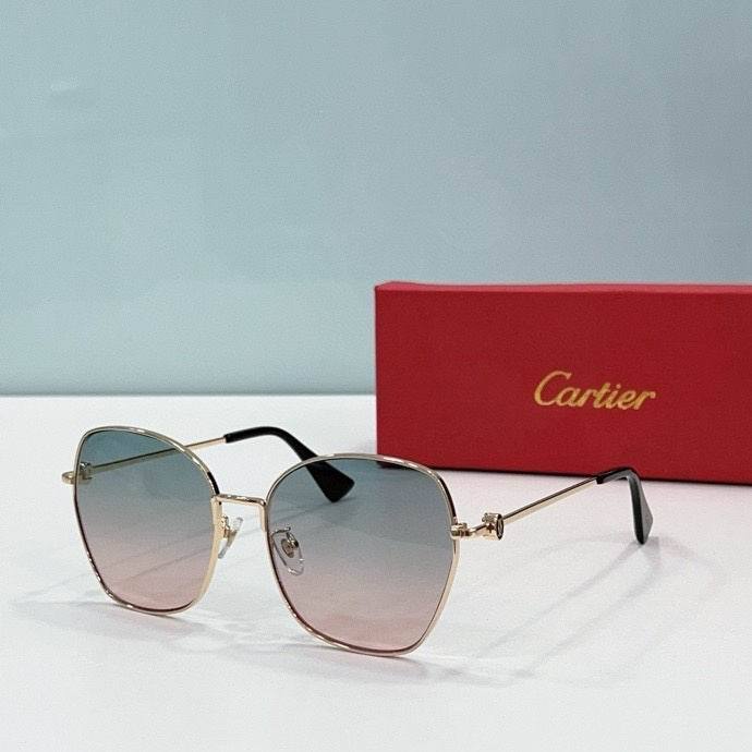 CTR Sunglasses AAA-495