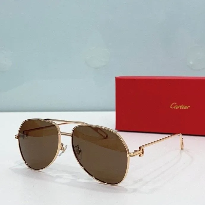 CTR Sunglasses AAA-486